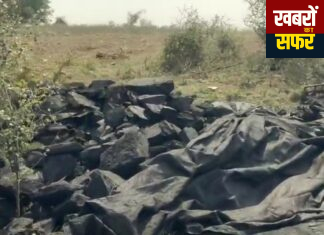 मारेगांव पुलिस नजर के सामने ट्रक से काले कोयले की तश्करी