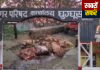 घुग्घुस मटन मार्केट बना बीमारी का अड्डा