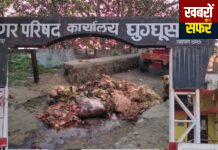 घुग्घुस मटन मार्केट बना बीमारी का अड्डा