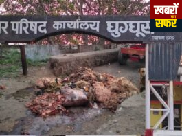 घुग्घुस मटन मार्केट बना बीमारी का अड्डा