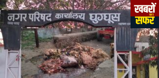 घुग्घुस मटन मार्केट बना बीमारी का अड्डा