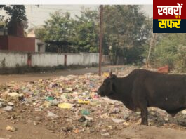 🔥🚨 हनुमान मंदिर के पास गंदगी का विस्फोट!