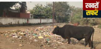 🔥🚨 हनुमान मंदिर के पास गंदगी का विस्फोट!