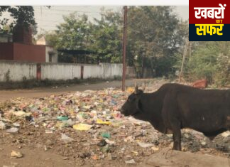 🔥🚨 हनुमान मंदिर के पास गंदगी का विस्फोट!