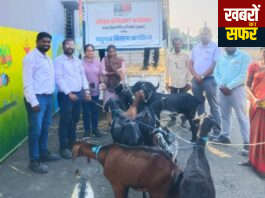 विधवा महिलांसाठी स्वावलंबनाची नवी पहाटलॉयड्स इन्फिनाइट फाउंडेशन मार्फत २० महिलांना शेळीपालन युनिट वाटप; ग्रामीण अर्थचक्राला नवी गती