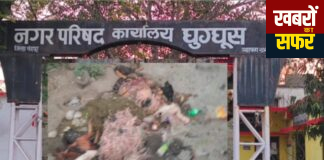 घुग्घुस साप्ताहिक बाजार में सड़ांध का साम्राज्य