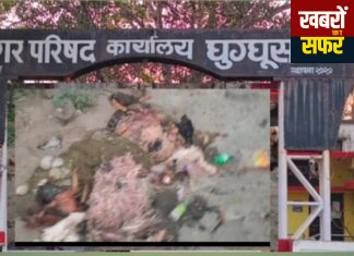 घुग्घुस साप्ताहिक बाजार में सड़ांध का साम्राज्य