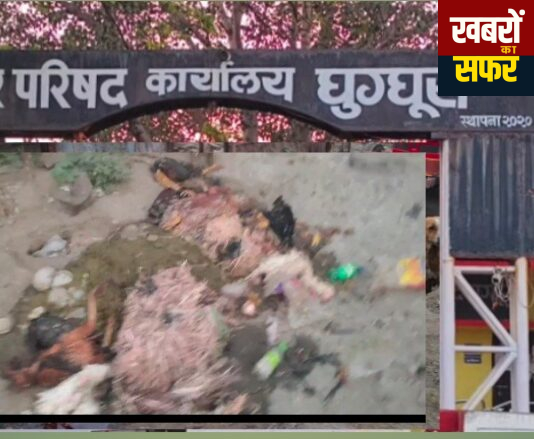 घुग्घुस साप्ताहिक बाजार में सड़ांध का साम्राज्य