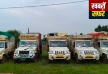 मूल पुलिस की बड़ी कार्रवाई: गोवंश तस्करी पर शिकंजा, 24 पशुओं को कराया मुक्त