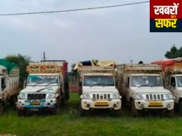 मूल पुलिस की बड़ी कार्रवाई: गोवंश तस्करी पर शिकंजा, 24 पशुओं को कराया मुक्त