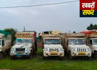 मूल पुलिस की बड़ी कार्रवाई: गोवंश तस्करी पर शिकंजा, 24 पशुओं को कराया मुक्त